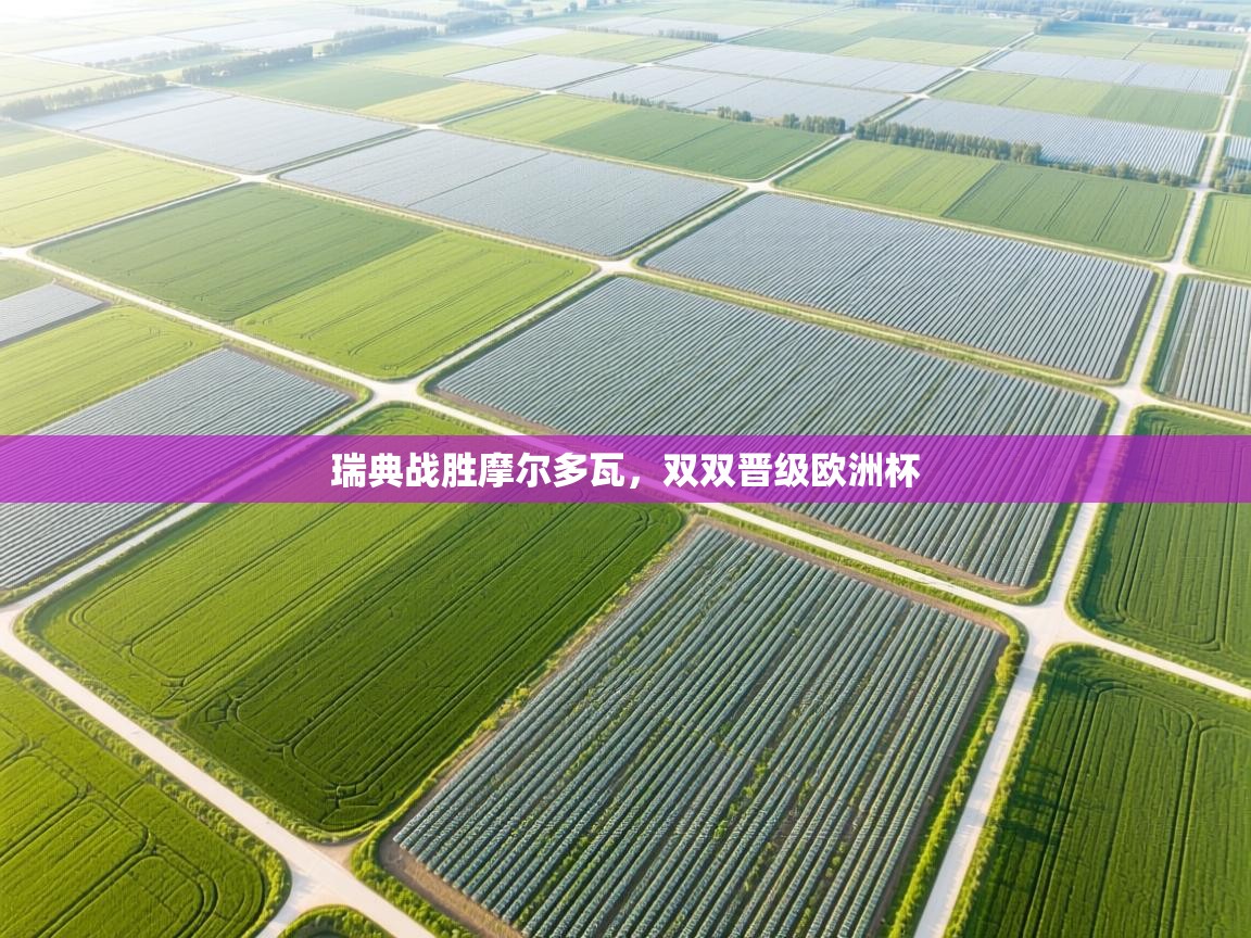 瑞典战胜摩尔多瓦,双双晋级欧洲杯 第2张