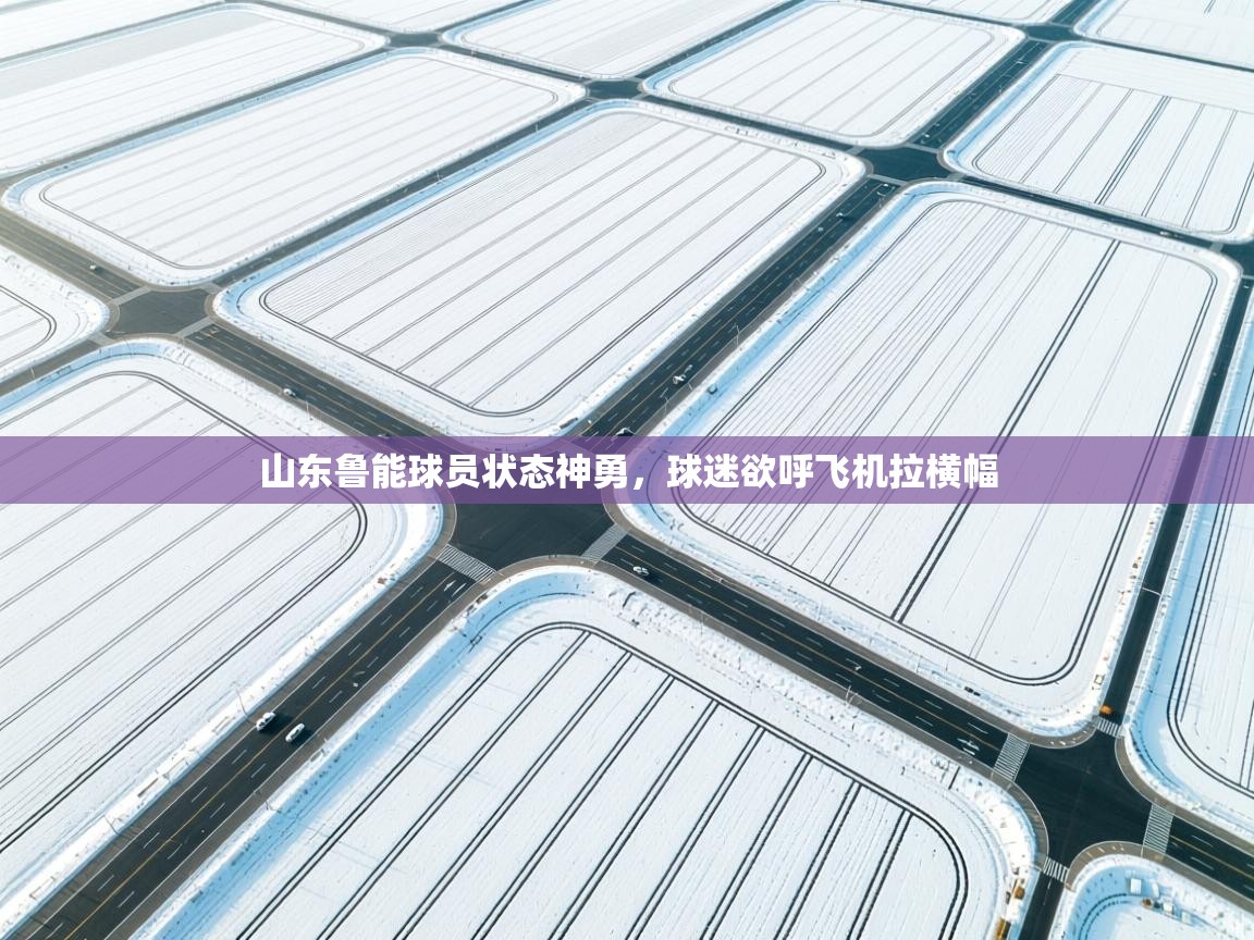山东鲁能球员状态神勇，球迷欲呼飞机拉横幅  第2张