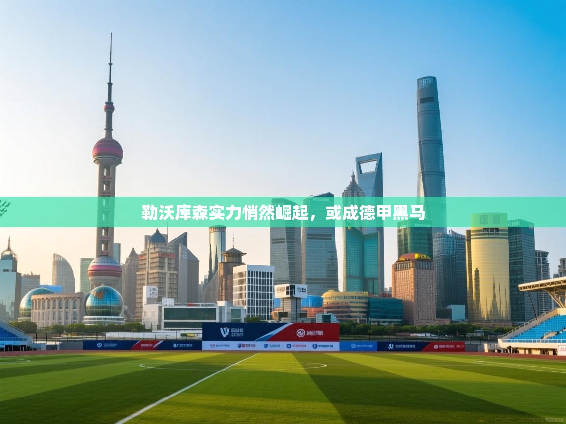 勒沃库森实力悄然崛起,或成德甲黑马 第2张