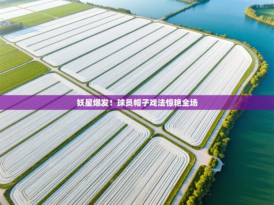 妖星爆发！球员帽子戏法惊艳全场  第2张