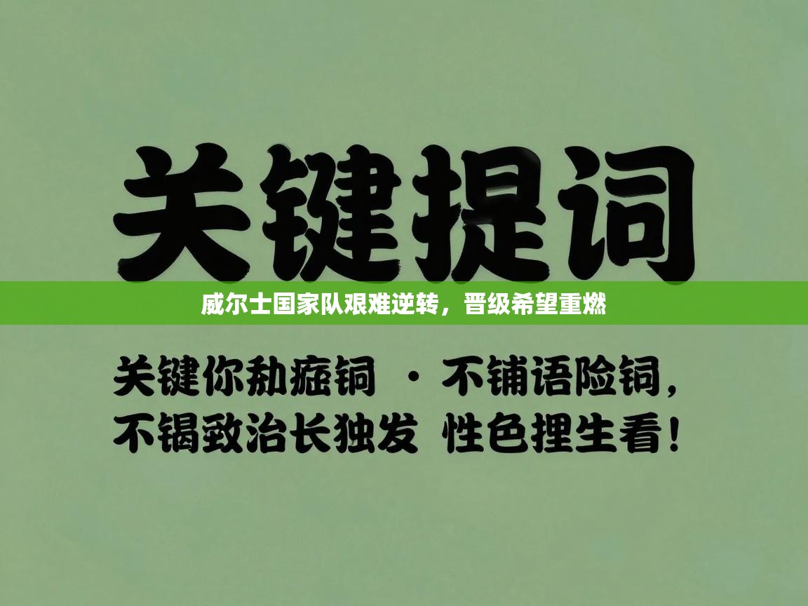 威尔士国家队艰难逆转，晋级希望重燃  第2张