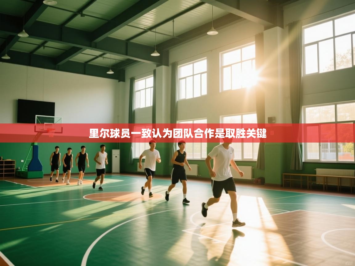 里尔球员一致认为团队合作是取胜关键  第2张