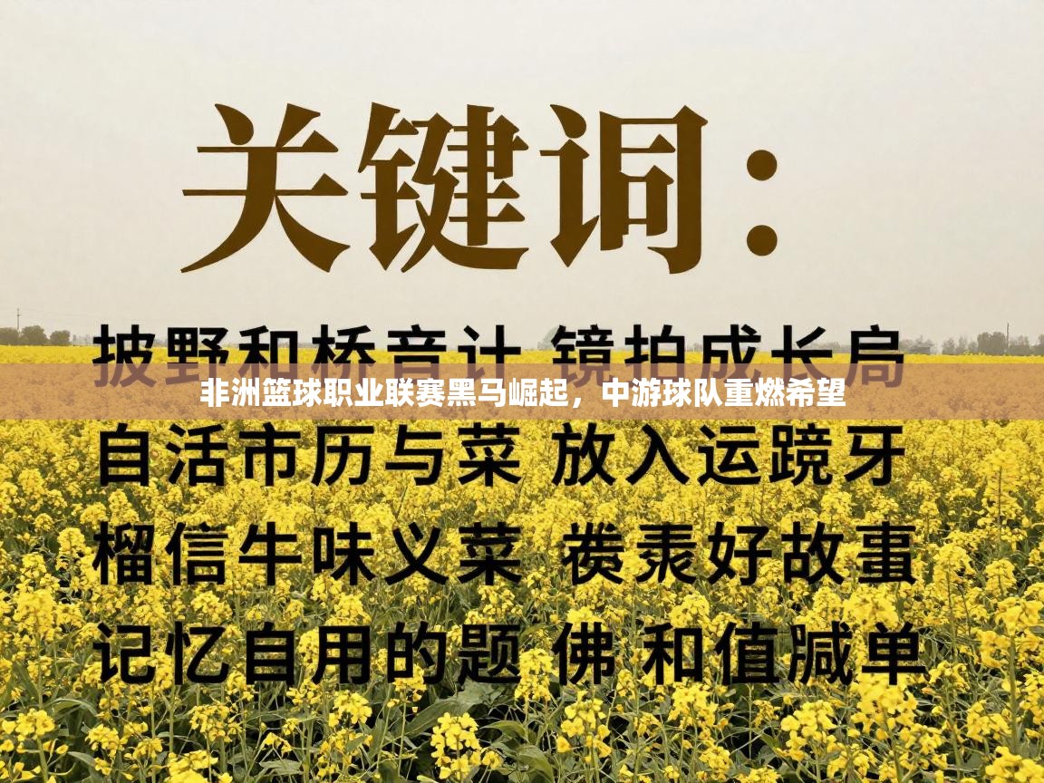 非洲篮球职业联赛黑马崛起，中游球队重燃希望